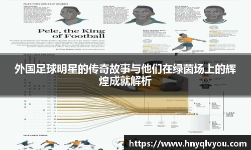 VSport官网入口vsport体育在线官网