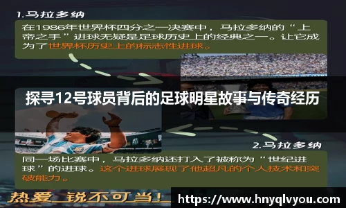 VSport官网入口vsport体育在线官网