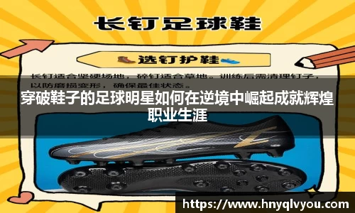 VSport官网入口vsport体育在线官网